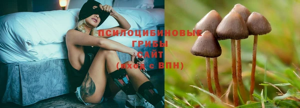 дживик Абаза