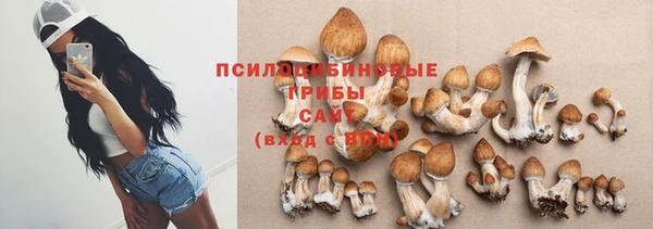 дживик Абаза