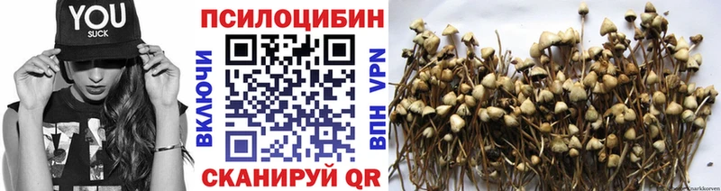 hydra рабочий сайт  Фатеж  Псилоцибиновые грибы Cubensis  хочу  