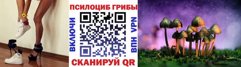 Галлюциногенные грибы мицелий Фатеж